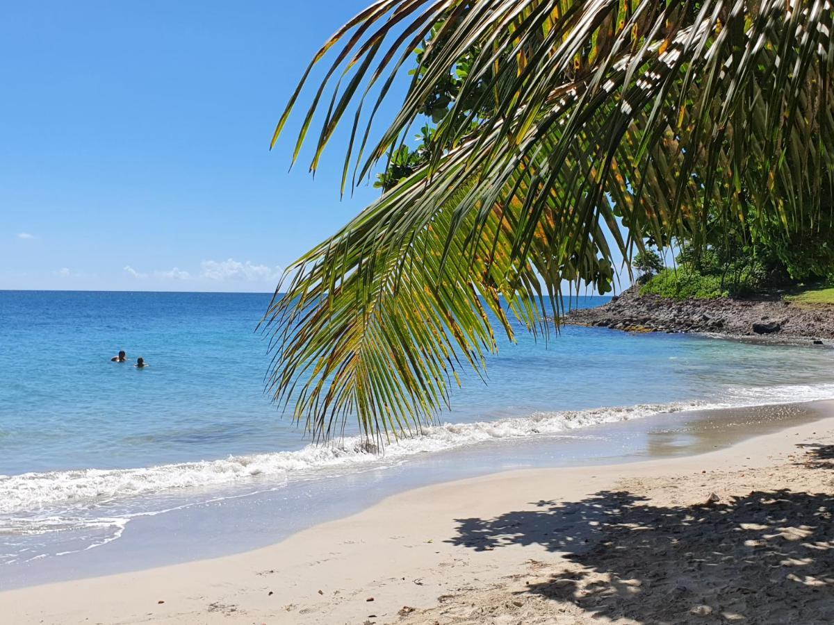 Ti Oasis Trinidad, Studio Vue Mer A Pierre & Vacances Сен-Лу Екстериор снимка