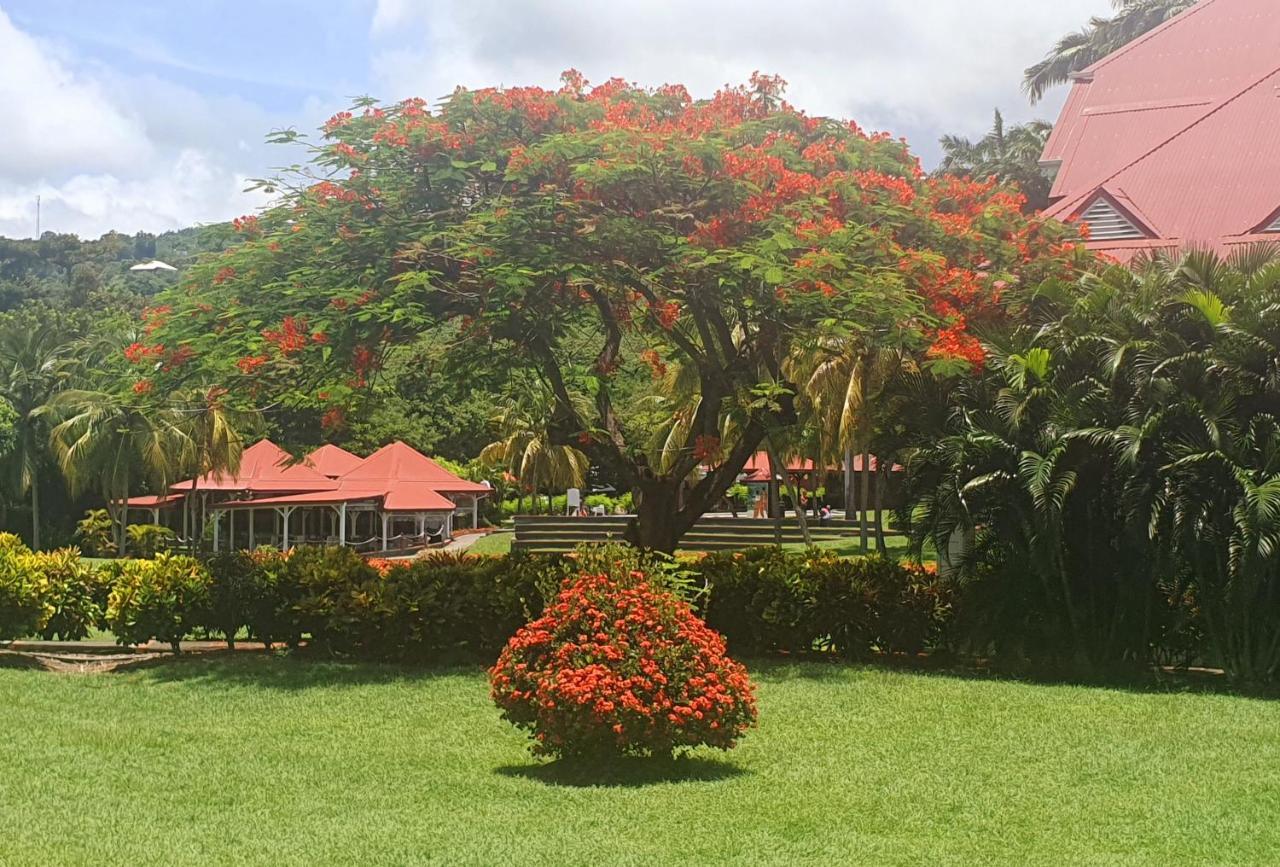 Ti Oasis Trinidad, Studio Vue Mer A Pierre & Vacances Сен-Лу Екстериор снимка