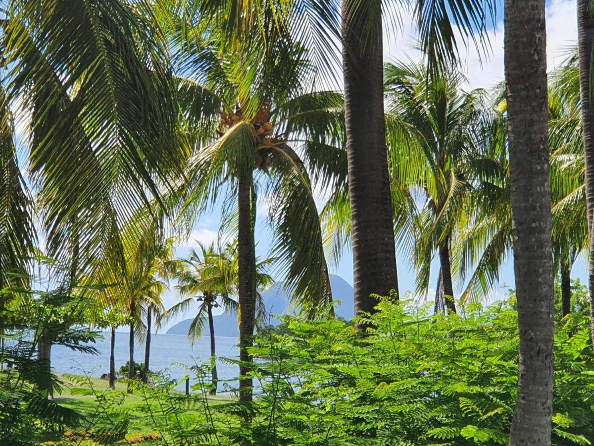 Ti Oasis Trinidad, Studio Vue Mer A Pierre & Vacances Сен-Лу Екстериор снимка
